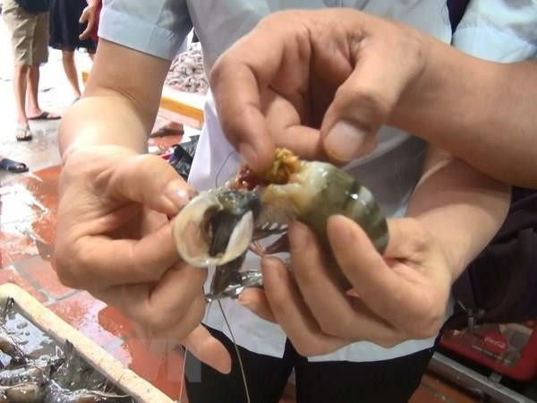 Triệt phá dứt điểm các cơ sở đưa tạp chất vào tôm nguyên liệu ảnh 1