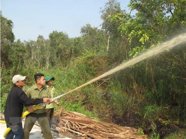Diễn tập chữa cháy Vườn quốc gia U Minh Hạ. (Ảnh: Tràng Dương/TTXVN) Một nửa rừng tràm U Minh Hạ đang ở mức báo động cháy cao nhất ảnh 1
