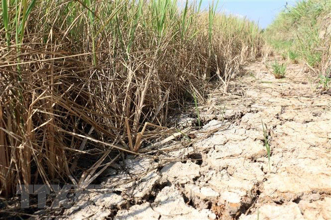 Giải mã thông điệp từ thiên nhiên: Tăng 'hàm lượng thời tiết' ảnh 1