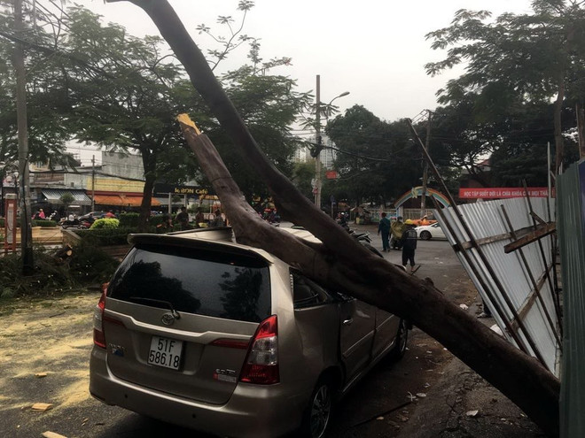 Cây xanh bất ngờ bật gốc, đè bẹp xe ôtô 7 chỗ đỗ bên đường ảnh 2