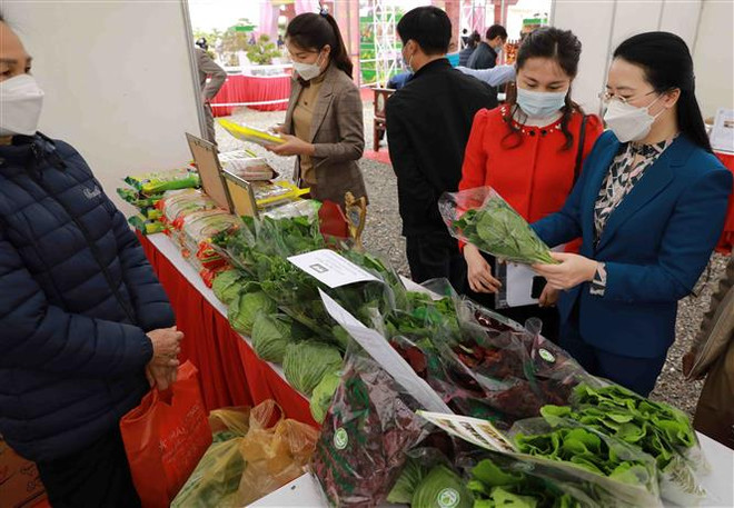 Khai mạc hội chợ giống vật tư thiết bị nông nghiệp, nông sản an toàn ảnh 1