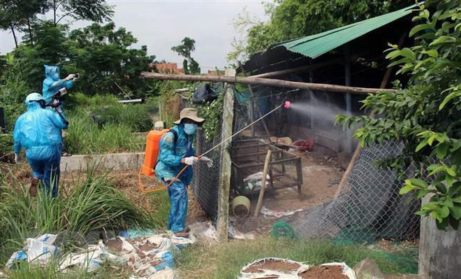 Bắc Kạn công bố dịch cúm gia cầm H5N6 tại thị trấn Phủ Thông ảnh 1