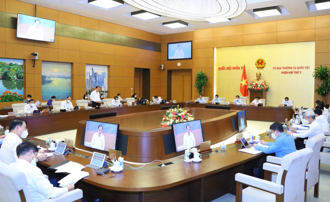 ​Nghiên cứu, xác định rõ phạm vi sửa đổi, bổ sung dự án Luật Thống kê ảnh 1