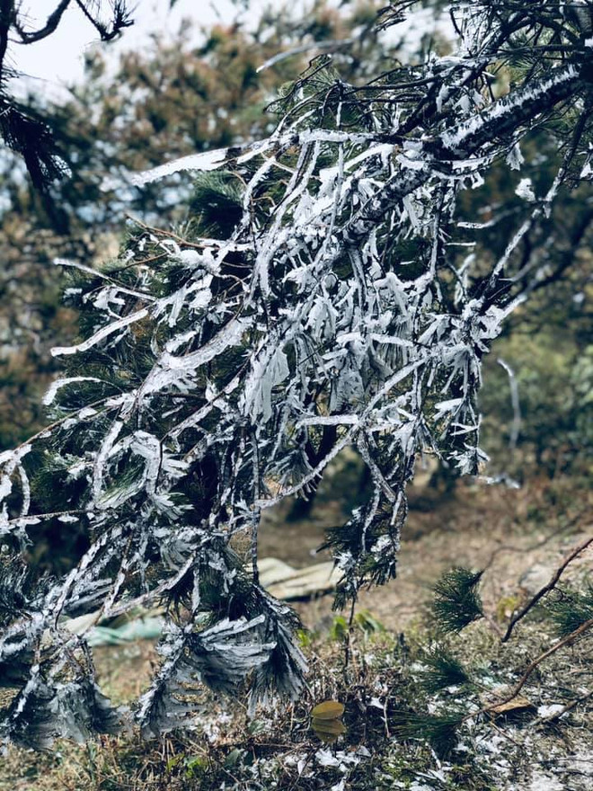 Tuyết phủ trắng núi rừng thu hút du khách kéo về Tây Bắc ảnh 1