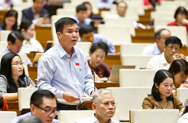 ttxvn_dai bieu quoc hoi 1.jpg