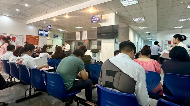 ttxvn_dau gia dat 2.jpg