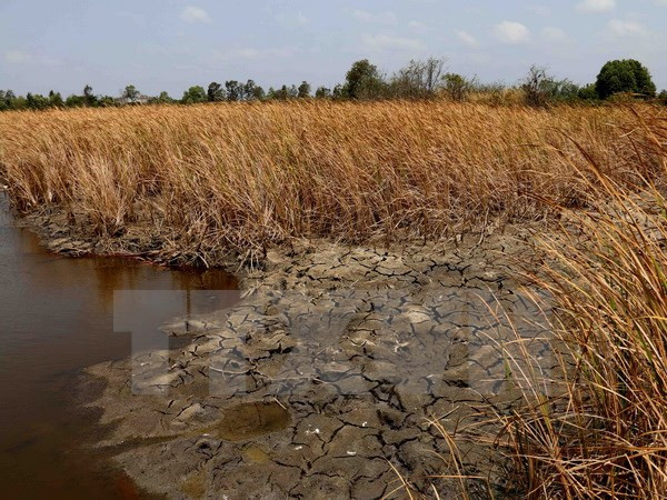 Tình trạng khô hạn lan rộng ở miền Trung, xâm nhập mặn giảm dần ảnh 1