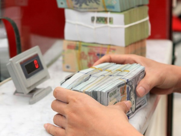 Ảnh minh họa. (Nguồn: TTXVN) Văn phòng Đại diện Thương mại Mỹ dỡ bỏ đe dọa thuế quan với Việt Nam ảnh 1