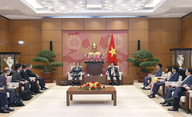 Đề nghị Việt-Nhật phát triển những chuỗi cung ứng mang tính chiến lược ảnh 2