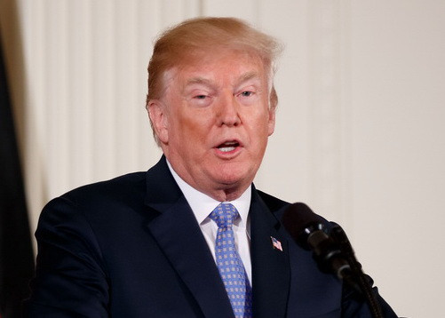 Tổng thống Mỹ Donald Trump. (Nguồn: THX/TTXVN) Tổng thống Mỹ Donald Trump: "Mọi thứ đang diễn ra rất tốt đẹp" ảnh 1