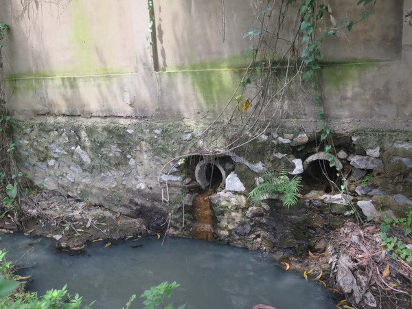 Một công ty bị phạt hơn 640 triệu đồng vì xả thải gây ô nhiễm ảnh 1