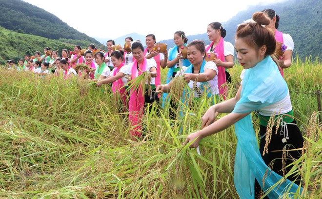 Nét độc đáo trong Lễ hội Kin lẩu khẩu mẩu của người Thái ở Lai Châu ảnh 1