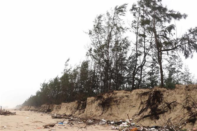 Việt Nam dự COP 26: Đoàn kết để giải quyết thách thức biến đổi khí hậu ảnh 2