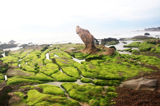 Chủ tịch Quốc hội dự Lễ khai mạc Năm Du lịch Quốc gia tại Bình Thuận ảnh 6