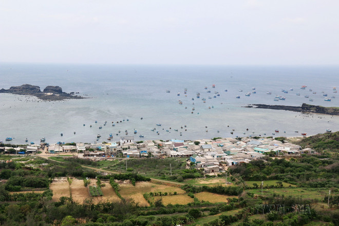 Chủ tịch Quốc hội dự Lễ khai mạc Năm Du lịch Quốc gia tại Bình Thuận ảnh 2