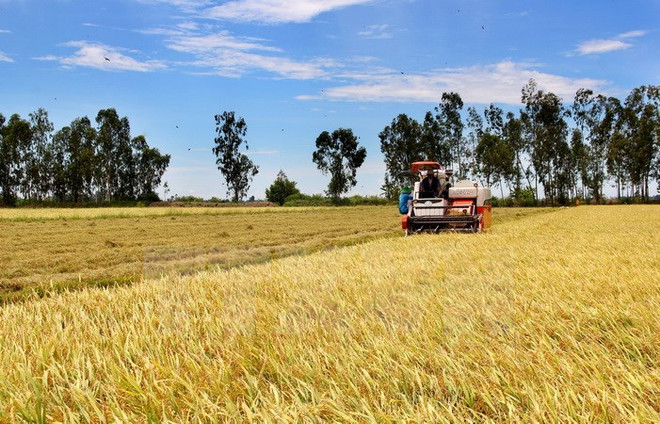 Thủ tướng yêu cầu làm rõ thông tin về tráo máy hỗ trợ nông nghiệp ảnh 1