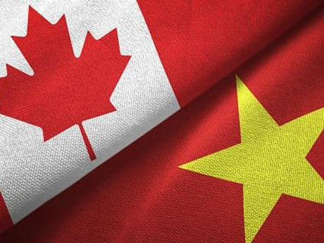 Ảnh minh họa. Thứ trưởng Nguyễn Quốc Dũng điện đàm với Trợ lý Thủ tướng Canada ảnh 1