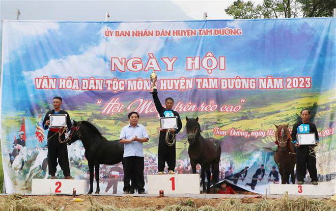 Lai Châu: Màn tranh tài gay cấn tại Giải Đua ngựa Tam Đường ảnh 2