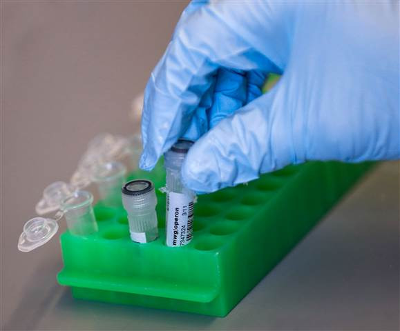 Tìm ra phương pháp "phẫu thuật" trên DNA, chỉnh sửa các gene bị lỗi ảnh 1