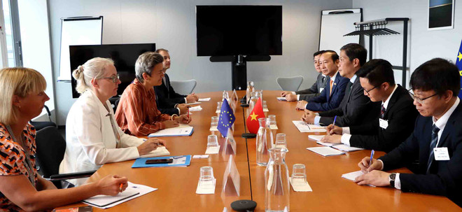 Trưởng ban Kinh tế TW Trần Tuấn Anh thăm và làm việc tại Bỉ và EU ảnh 2