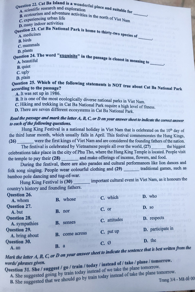 Đề thi chính thức môn tiếng Anh kỳ thi vào lớp 10 của Hà Nội ảnh 4