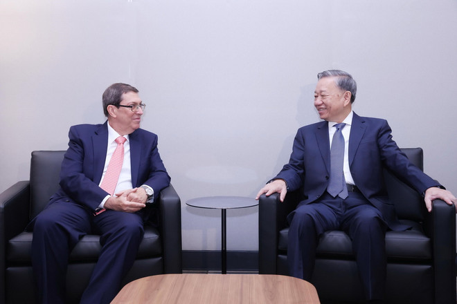 ttxvn_tong bi thu chu tich nuoc 3.jpg