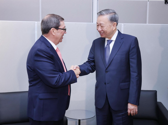 ttxvn_tong bi thu chu tich nuoc 2.jpg