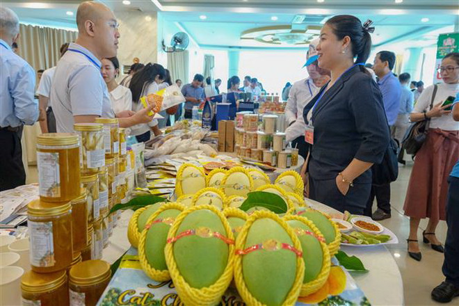 Đại diện các doanh nghiệp trao đổi tại buổi kết nối giao thương giữa doanh nghiệp Việt Nam và Trung Quốc. (Ảnh: Thanh Liêm/TTXVN) Doanh nghiệp hai nước Việt Nam-Trung Quốc kết nối giao thương ảnh 2