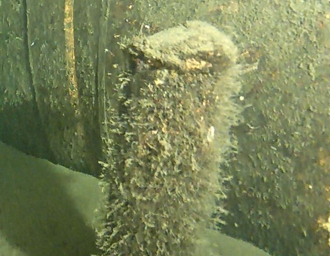 Đan Mạch vớt vật thể lạ gần vụ nổ đường ống Dòng chảy phương Bắc 2 ảnh 1