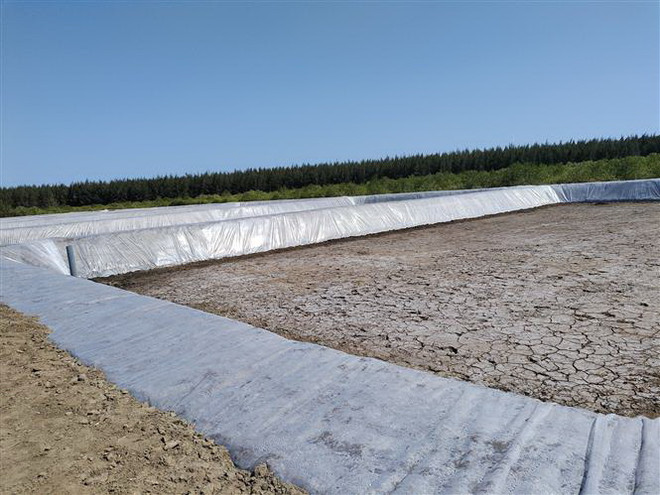 Bến Tre: Kiên quyết xử lý hành vi 'bức tử' rừng để nuôi trồng thủy sản ảnh 1