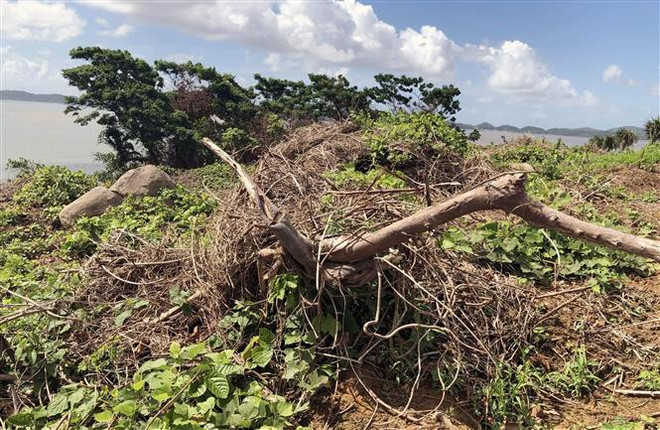 Quảng Ninh: Thu hồi hòn đảo 8ha vì san gạt đất rừng sai quy định ảnh 1