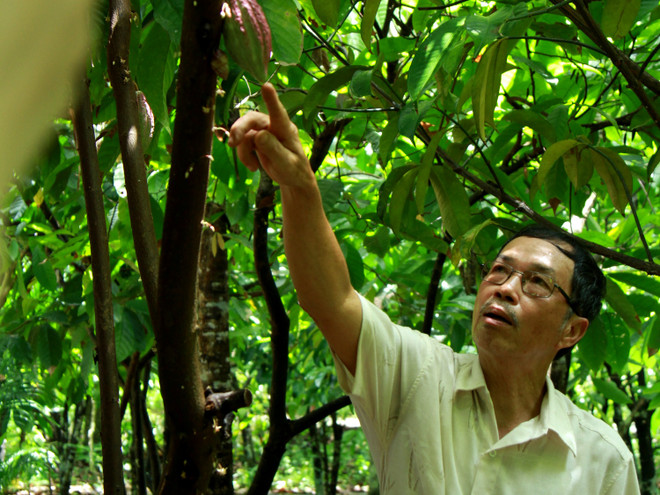 Bài 1: Gia đình sản xuất thủ công chocolate đầu tiên ở Việt Nam ảnh 1