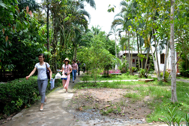 Bài 1: Gia đình sản xuất thủ công chocolate đầu tiên ở Việt Nam ảnh 2