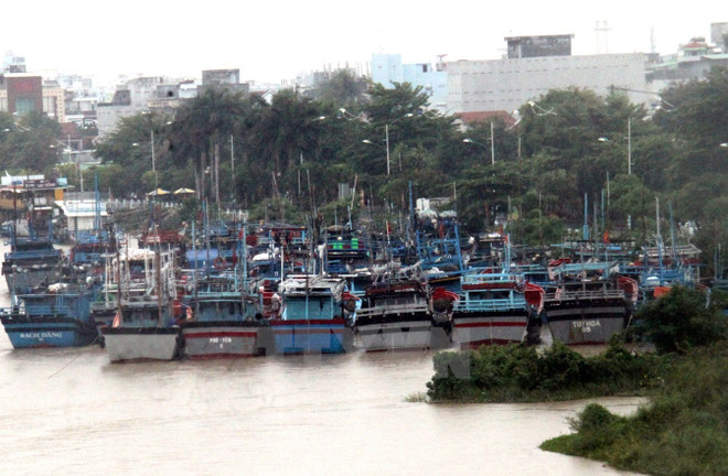Các địa phương chủ động ứng phó với bão Kai-tak gần Biển Đông ảnh 1