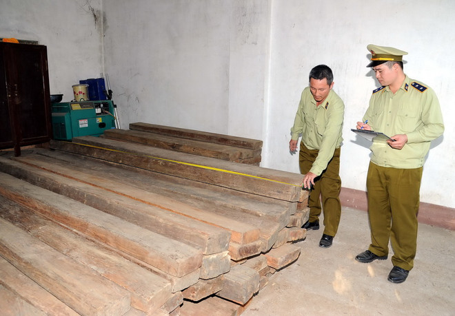 Xác minh, làm rõ vụ vận chuyển trái phép gỗ nghiến rồi tháo chạy ảnh 1