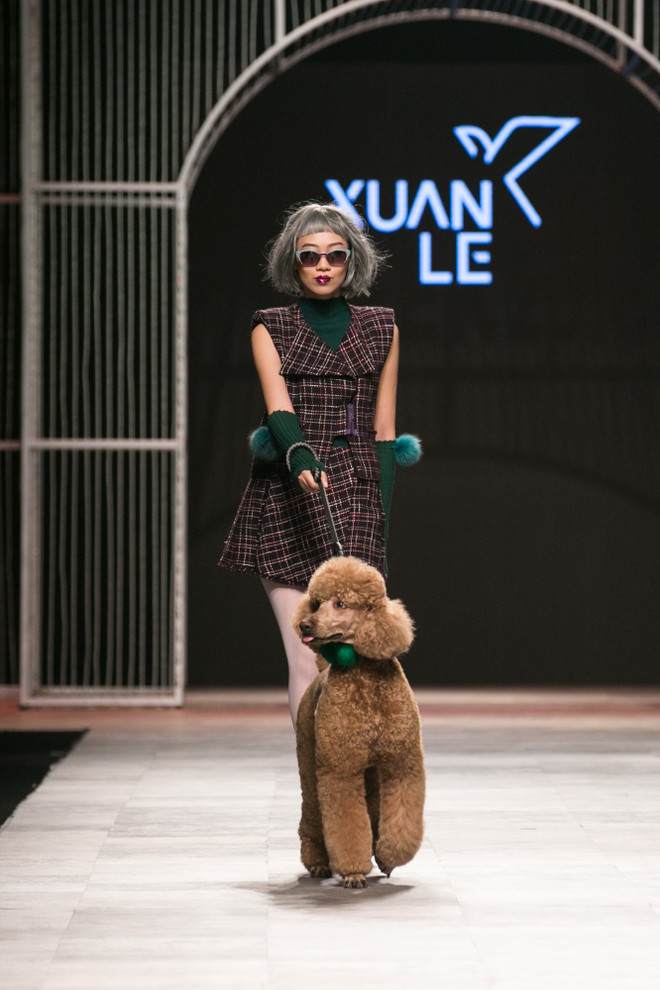 Chân dung những cô gái Paris đang yêu qua bộ sưu tập của Xuân Lê ảnh 4