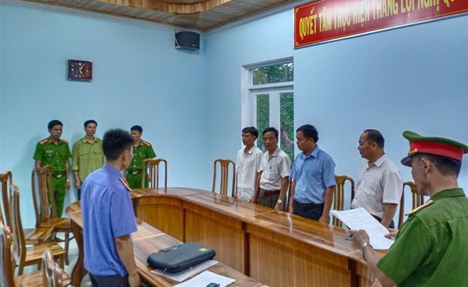 Thủ đoạn của các đối tượng phá rừng ở Gia Lai ngày càng tinh vi ảnh 2