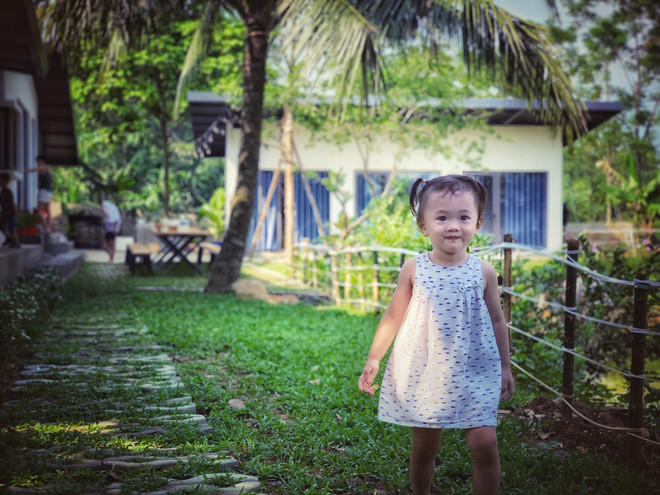 Homestay ‘cháy’ phòng, lữ hành lúng túng trước những ‘khe cửa hẹp’ ảnh 4