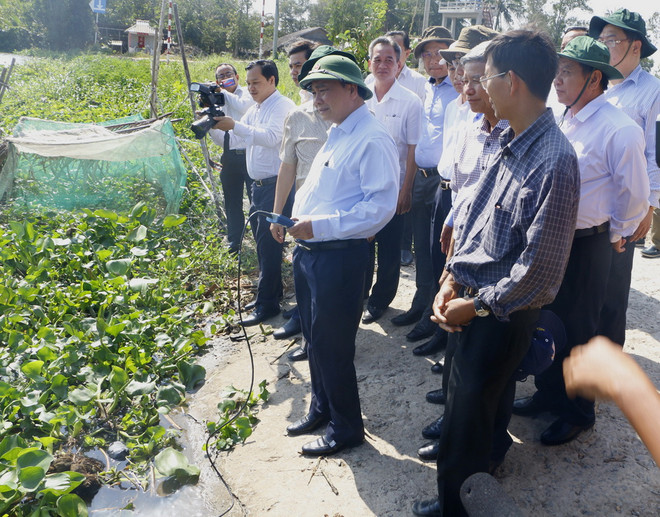 Phó Thủ tướng kiểm tra tình hình xâm nhập mặn tại Hậu Giang ảnh 1