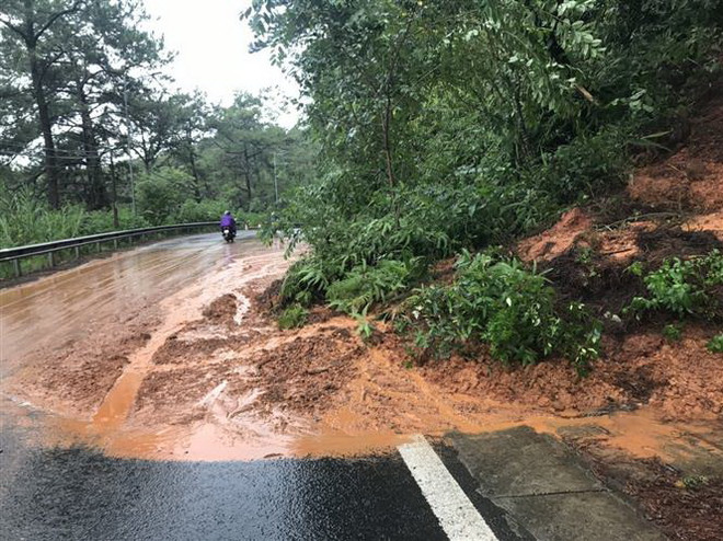Mưa to trong nhiều giờ gây sạt lở, đổ cây tại thành phố Đà Lạt ảnh 1