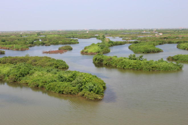 Phát động các hoạt động hưởng ứng Ngày Nước thế giới năm 2018 ảnh 1