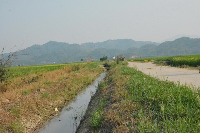 ttxvn_thuy loi 1.jpg