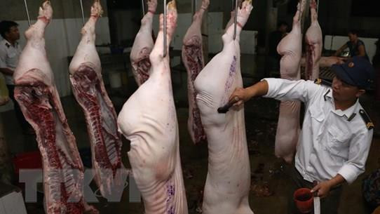 ​Xử phạt đối tượng đăng thông tin sai sự thật về thịt lợn nhiễm sán ảnh 1