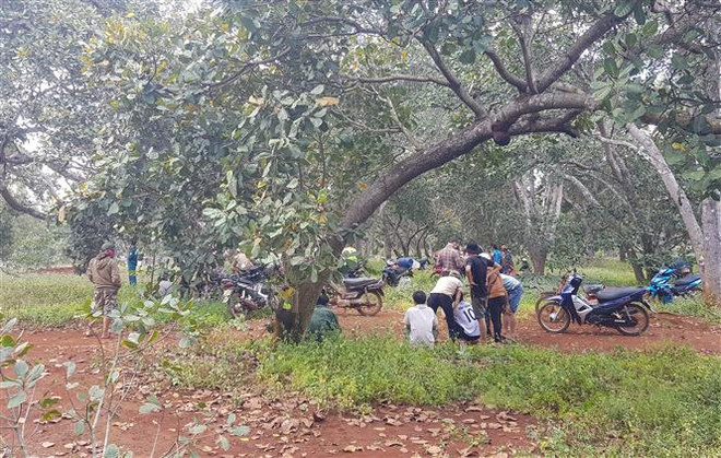 Mâu thuẫn trong lúc nhậu, nam công nhân đâm đồng nghiệp tử vong ảnh 1