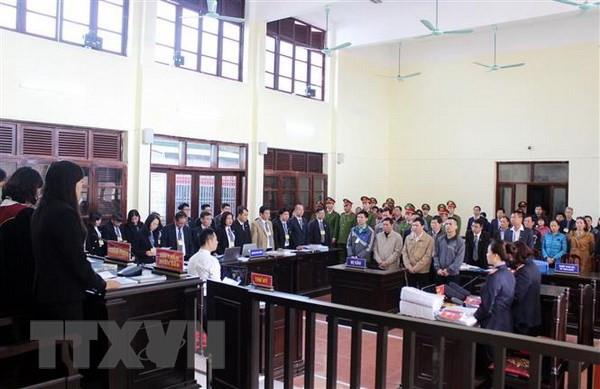 Xét xử vụ án chạy thận: Luật sư bào chữa cho Hoàng Công Lương ảnh 1