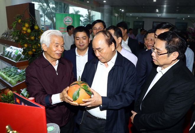 Thủ tướng dâng hương tại Khu di tích quốc gia đặc biệt Lam Kinh ảnh 3