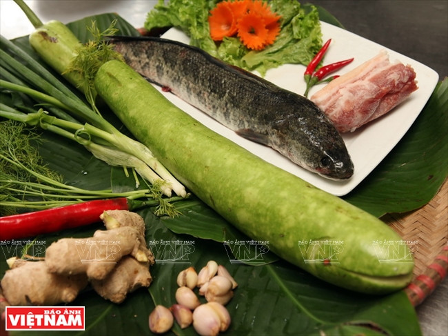 Cá lóc hấp bầu - món ngon khó cưỡng khi thời tiết chuyển mùa ảnh 1