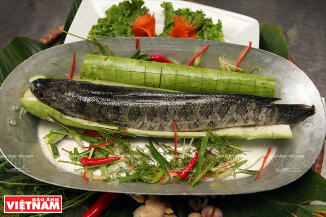 Cá lóc hấp bầu - món ngon khó cưỡng khi thời tiết chuyển mùa ảnh 2