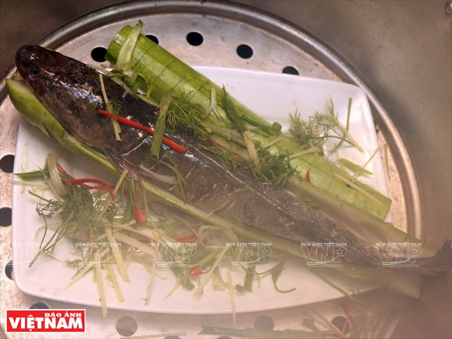 Cá lóc hấp bầu - món ngon khó cưỡng khi thời tiết chuyển mùa ảnh 3