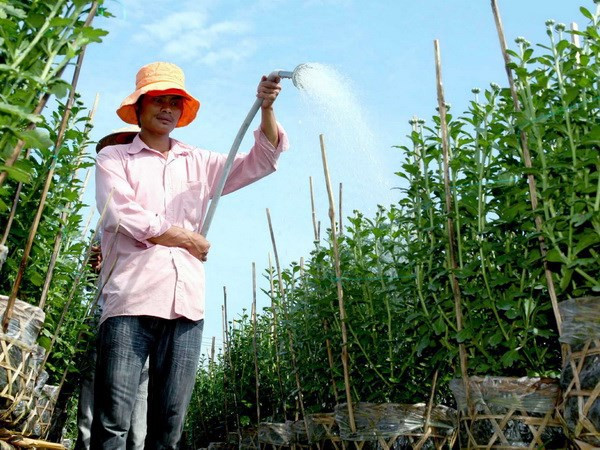 Ảnh minh họa. (Nguồn: TTXVN) Mưa ở các tỉnh Trung Bộ giảm nhanh, khu vực Bắc Bộ nắng ráo ảnh 1